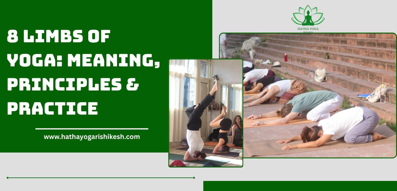 8 limbs of yoga meaning principles and practice