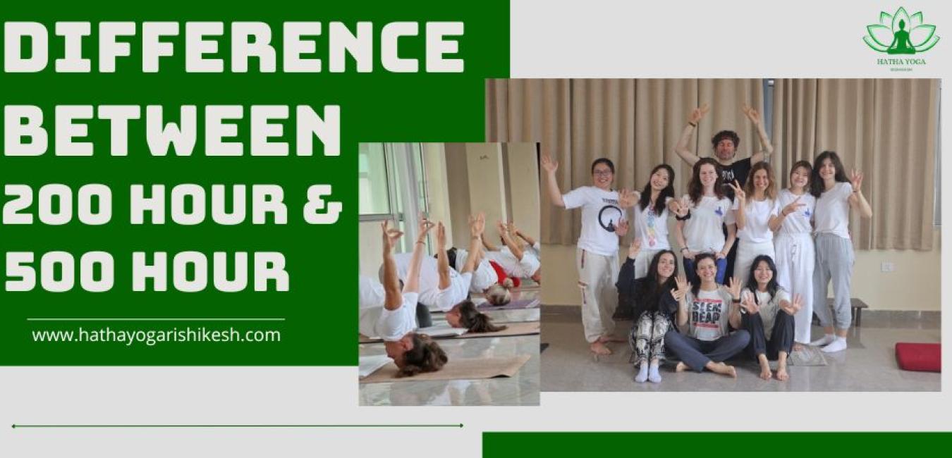 Difference Between 200 and 500 Hour Yoga Teacher Training